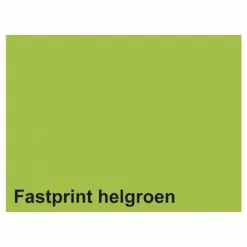 Quantore Kopieerpapier Fastprint A4 80gr Helgroen 100vel Online Kopen?