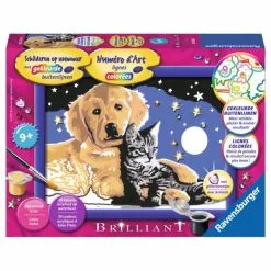 Ravensburger Schilderen Op Nummer - Schitterende Sterrenhemel Online Kopen?