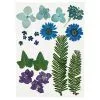 Creativ Company Gedroogde Bloemen En Bladeren Blauw, 19dlg. Online Kopen?