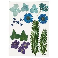 Creativ Company Gedroogde Bloemen En Bladeren Blauw, 19dlg. Online Kopen?