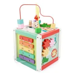 Fisher Price Activiteiten Kubus Hout Online Kopen?
