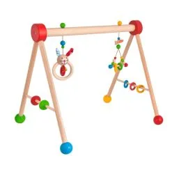 Eichhorn Baby Gym Online Kopen?