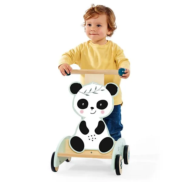 Eichhorn Activitiy Walker Online Kopen? - Afbeelding 4