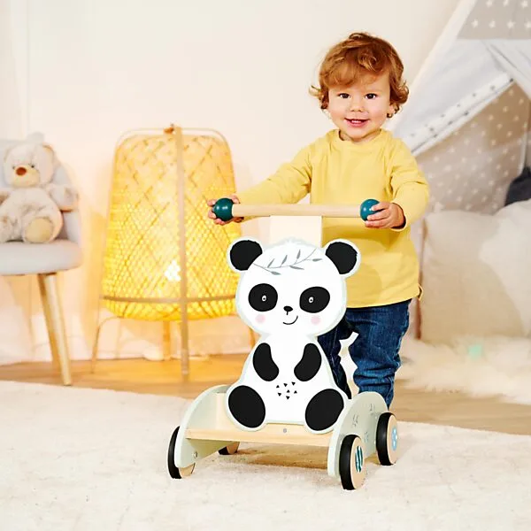 Eichhorn Activitiy Walker Online Kopen? - Afbeelding 6