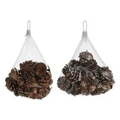 Dennenappels Met Boomschors