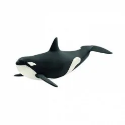 Schleich WILD LIFE Orka 14807 Online Kopen?