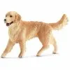Schleich FARM WORLD Golden Retriever, Vrouwelijk 16395 Online Kopen?