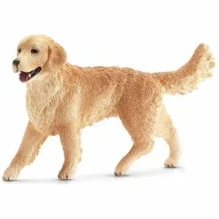 Schleich FARM WORLD Golden Retriever, Vrouwelijk 16395 Online Kopen?