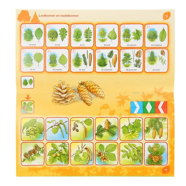 Loco Mini - Dieren & Planten In Het Bos Groep 3-4 (6-8 Jr.) - Afbeelding 2