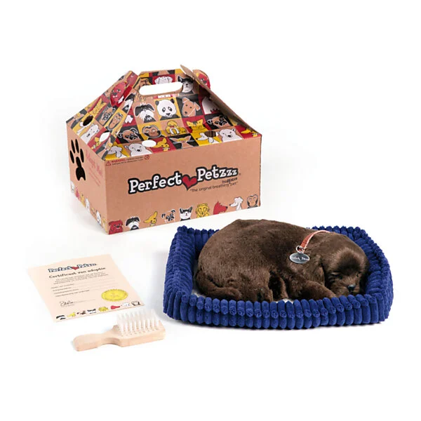Perfect Petzzz Soft Chocolate Labrador - Afbeelding 3