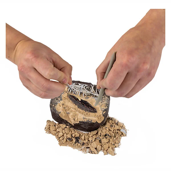 BOTI National Geographic Dinosaurus Graaf Set Online Kopen? - Afbeelding 2