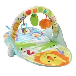 Fisher Price - 2in1 Activiteiten Gym Online Kopen?